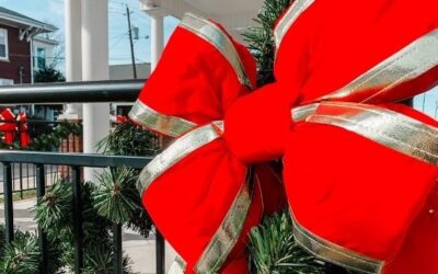 Drive Through Holiday Light Tours – Making Spirits Bright in 2020