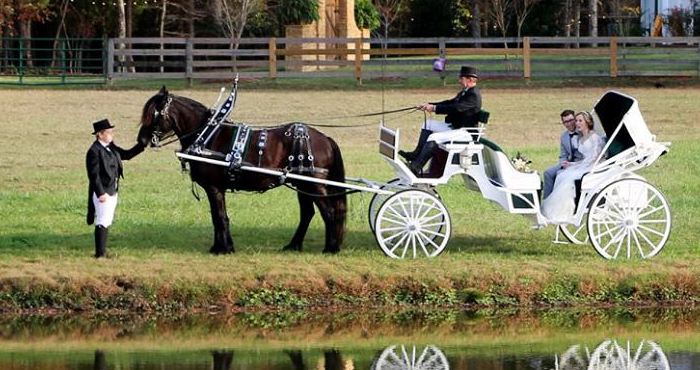 Everything is Better in Person- Including Weddings!