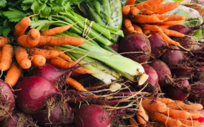 Farm Fresh in Person County