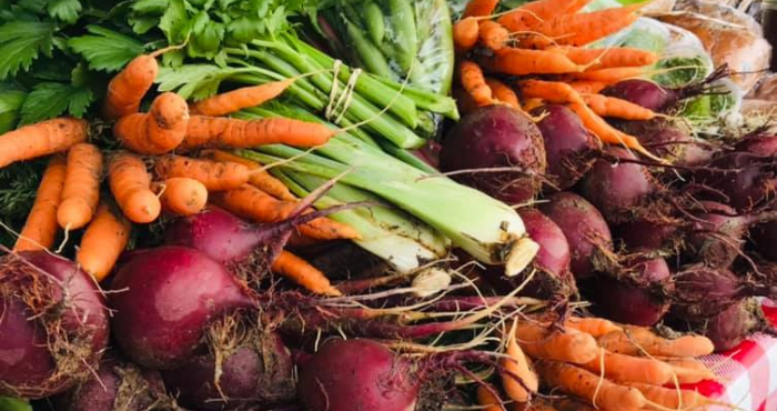 Farm Fresh in Person County