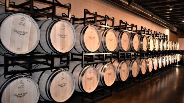 Wooden barrels stored horizontally at a vineyard