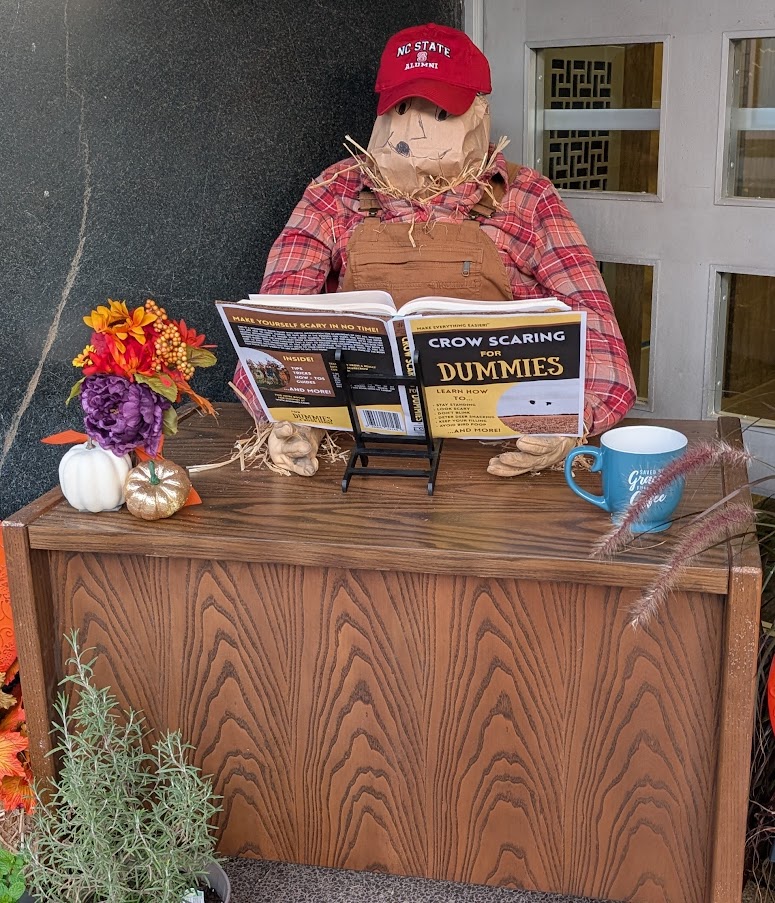 Scarecrow submission from Electronic Solutions, Inc.